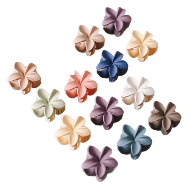 Sæt med 10/20 små hårklemmer i søde blandede blomsterfarver med frosted finish